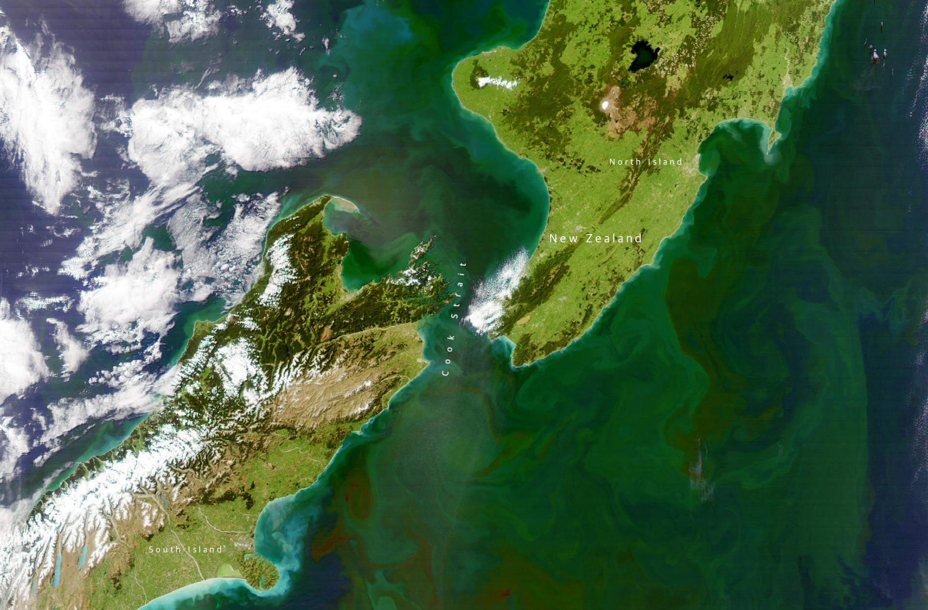 South Pacific Ocean Around New Zealand MODIS-Aqua
