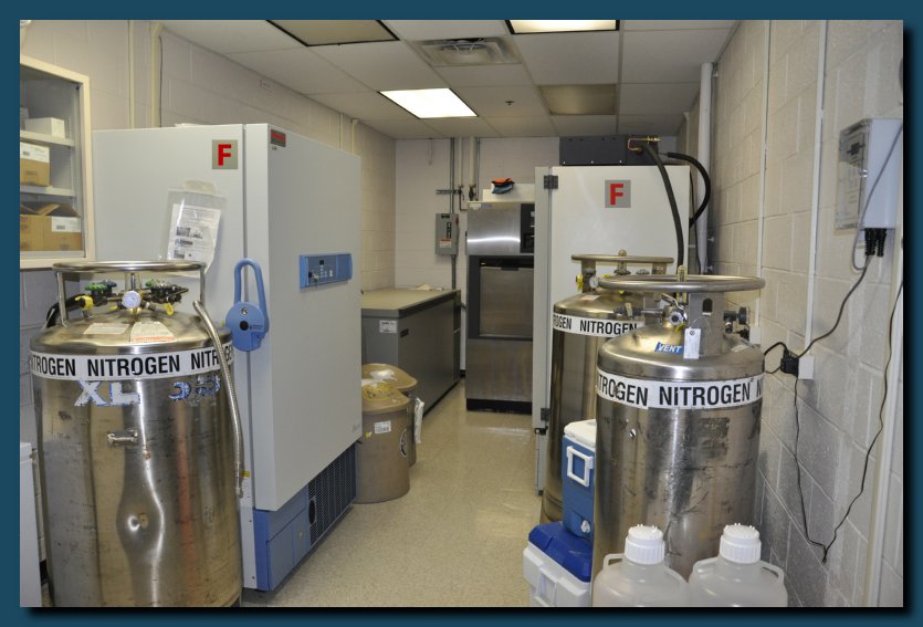 Image of Ocean Ecology Lab